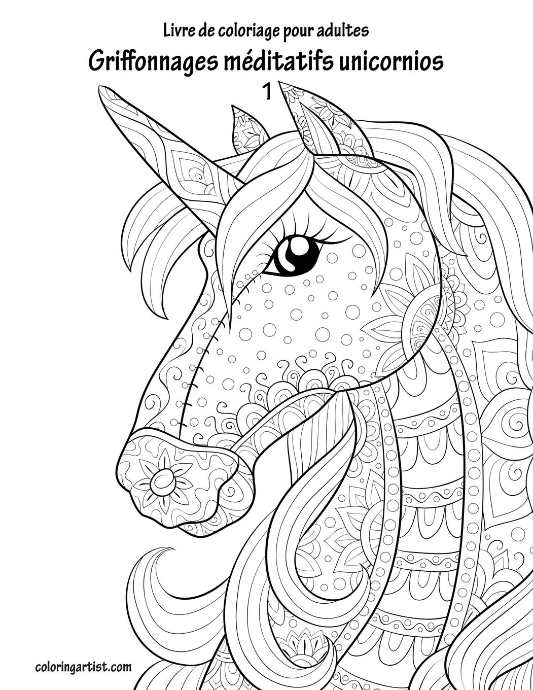 Livre de coloriage pour adultes Griffonnages méditatifs unicornios 1 Mathematics