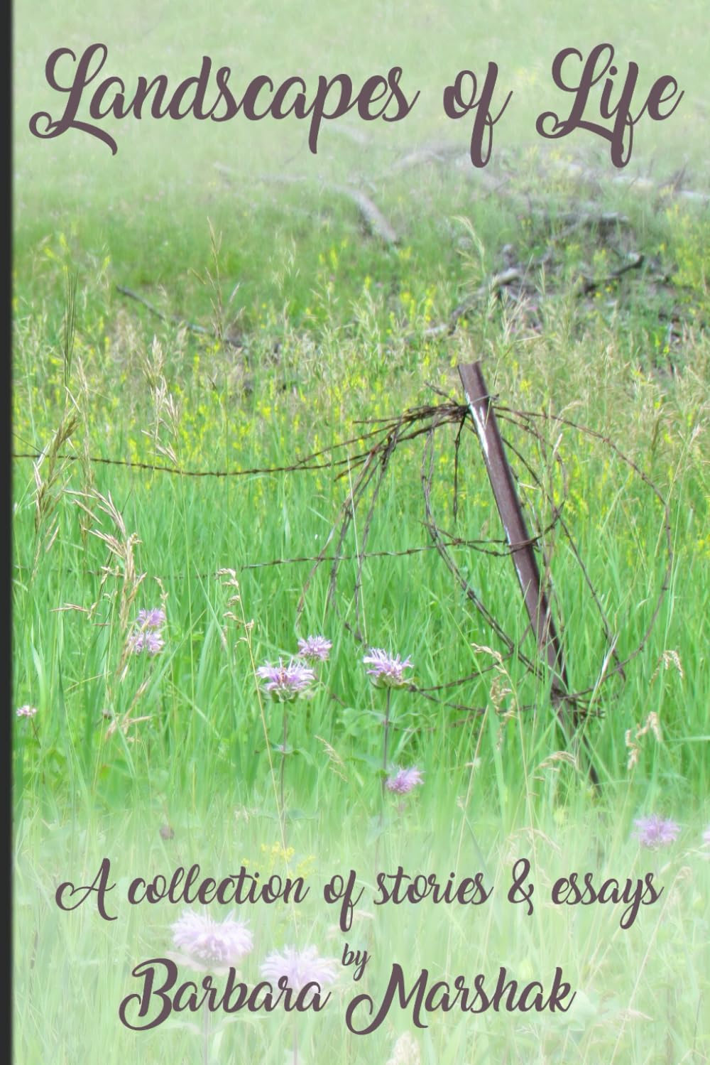 Landscapes of Life: A Collection of Stories & Essays Essays & Short Stories