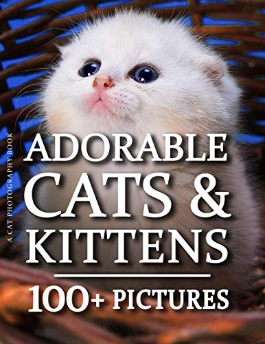Cat Photography Book - Adorable Cat & Kittens: 100+ Amazing Kitten and Cat Photos in this fantastic Cat Picture Book For Children and Adults Nature & Animals
