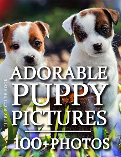 Puppy Picture Book - Adorable Puppy Pictures: 100+ Amazing Puppy Photos in this fantastic Puppy Photo Book (Dog Photography Book Series, Band 1) Nature & Animals