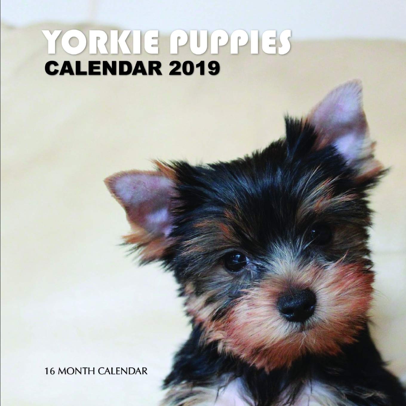 Yorkie Puppies Calendar 2019: 16 Month Calendar Mathematics