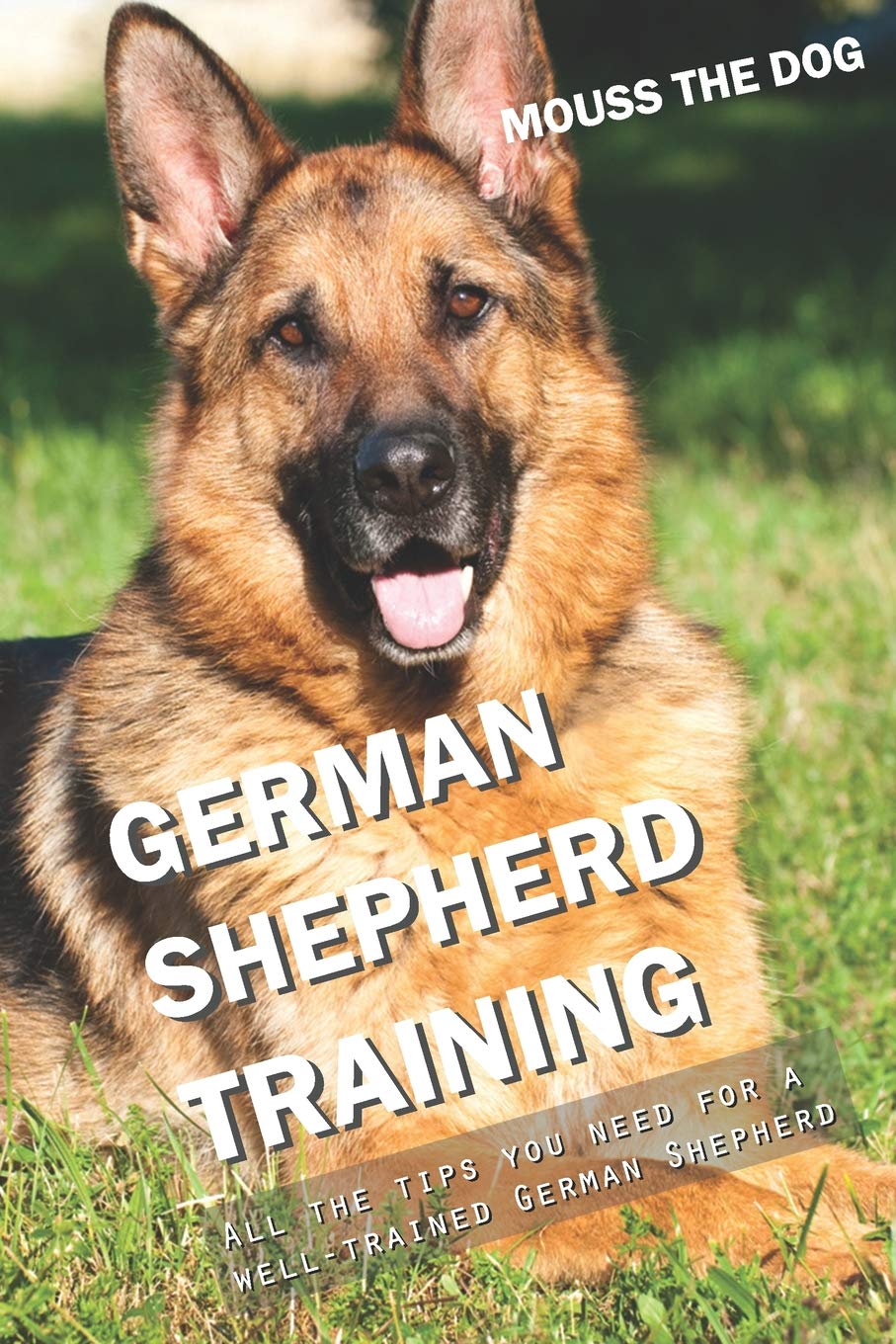 GERMAN SHEPHERD TRAINING: All the tips you need for a well-trained German Shepherd Pets