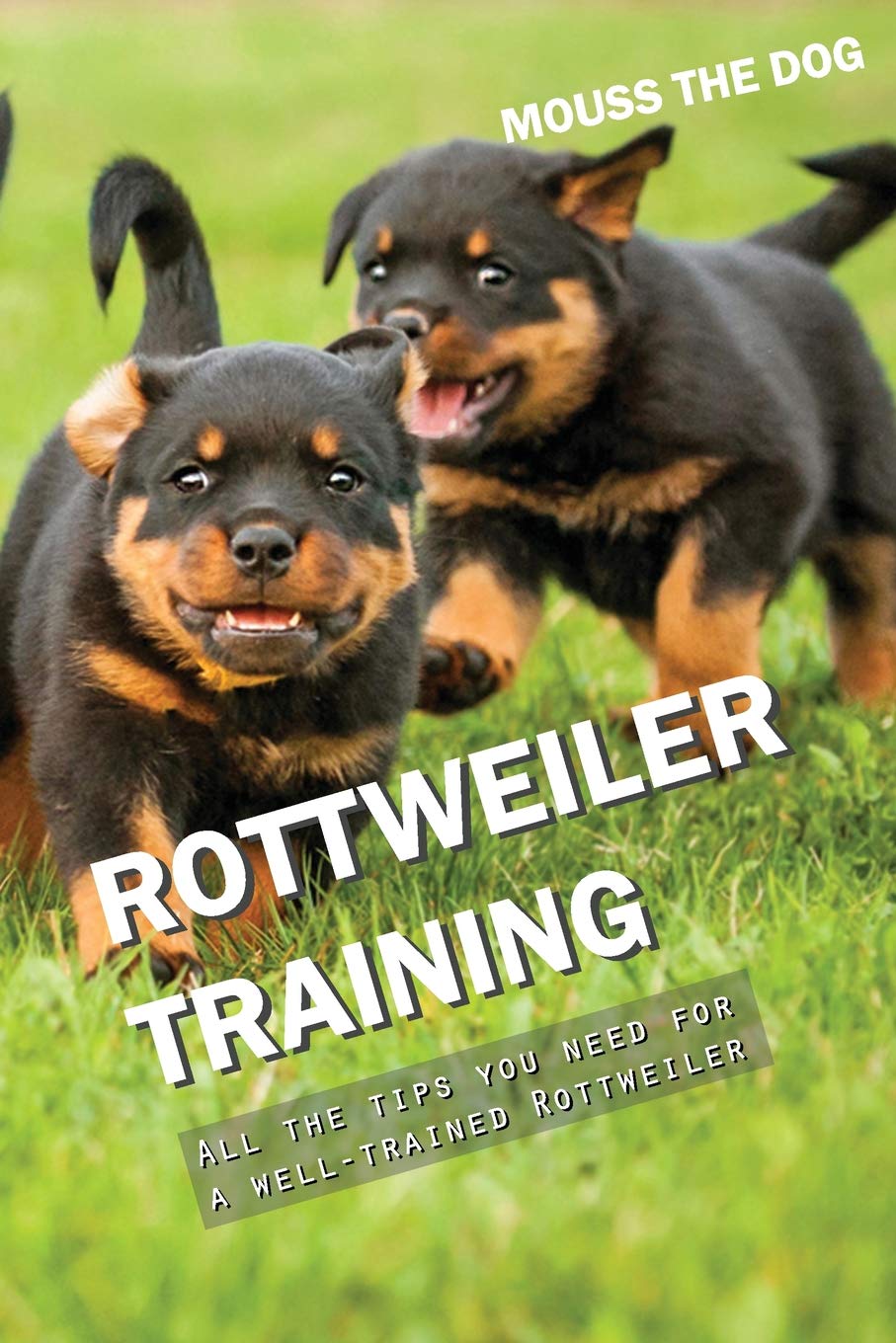 ROTTWEILER TRAINING: All the tips you need for a well-trained Rottweiler Pets