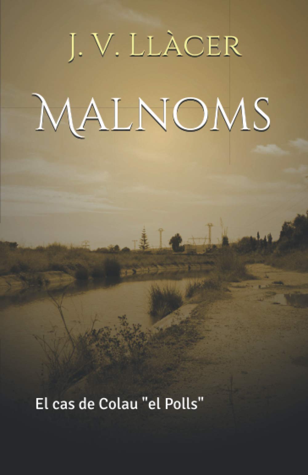 Malnoms: El cas de Colau "el Polls" book