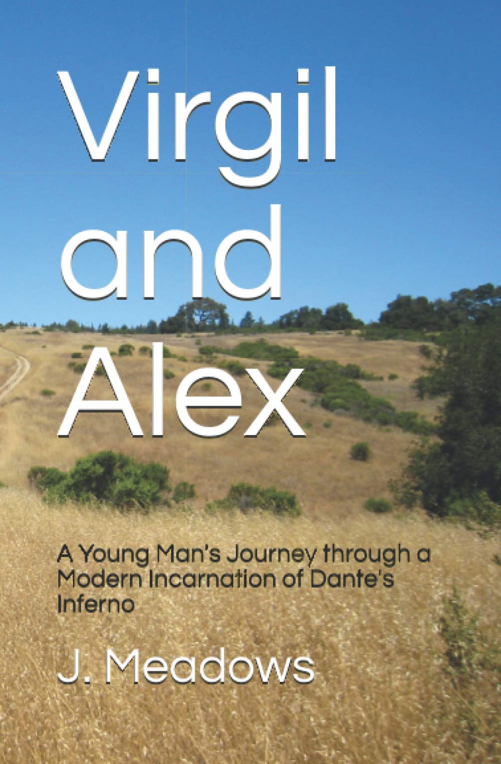 Virgil and Alex: A Young Man's Journey through a Modern Incarnation of Dante's Inferno Action & Adventure