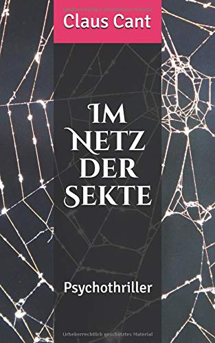 Im Netz der Sekte: Psychothriller Personalities