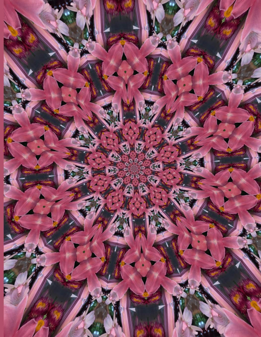 Fractal Photo Art Notebook: Pink Lily 1: A fractal image notebook made from a photo of a fresh cut pink lily flower, and filled with college ruled paper. Mathematics