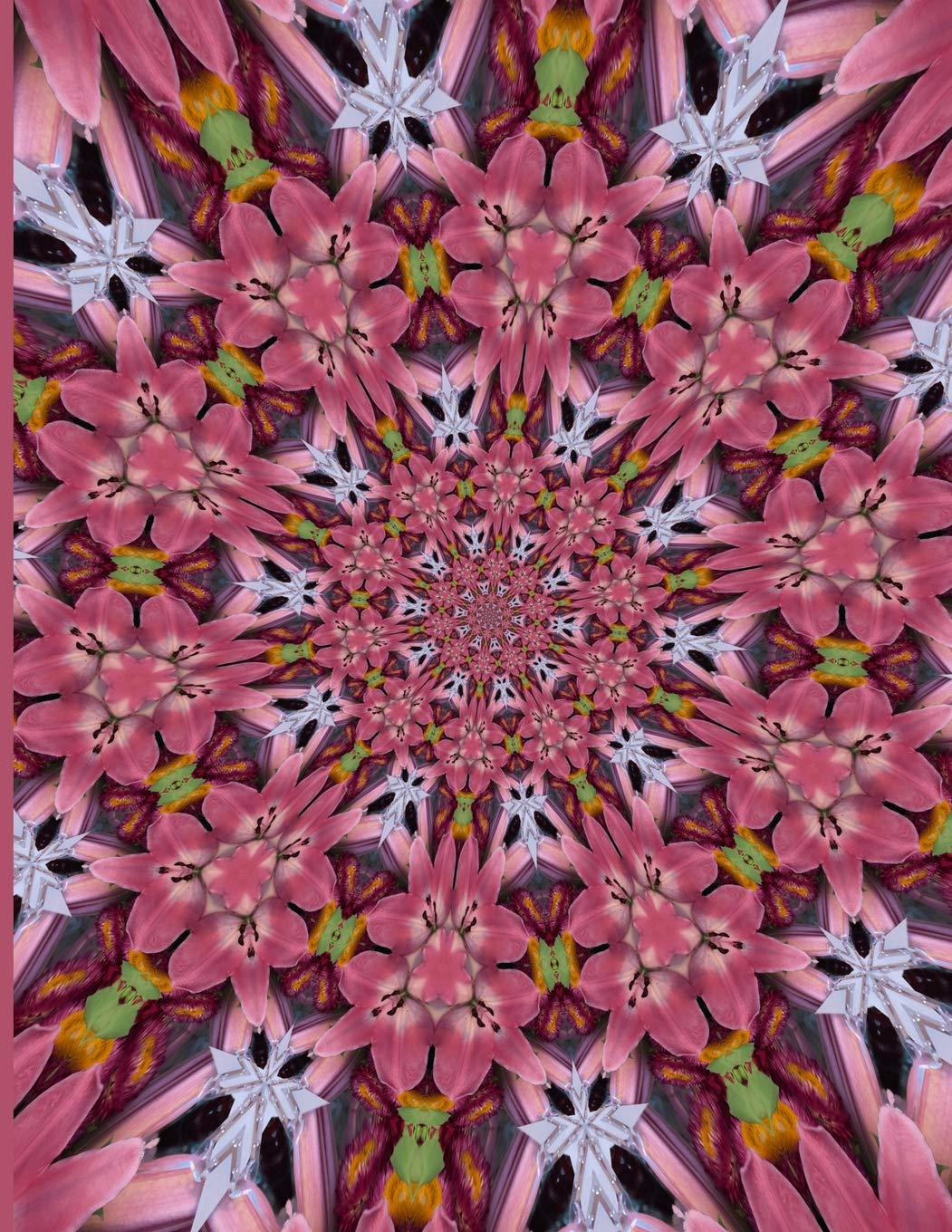 Fractal Photo Art Notebook: Pink Lily 2: A fractal image notebook made from a photo of a fresh cut pink lily flower, and filled with college ruled paper. Mathematics