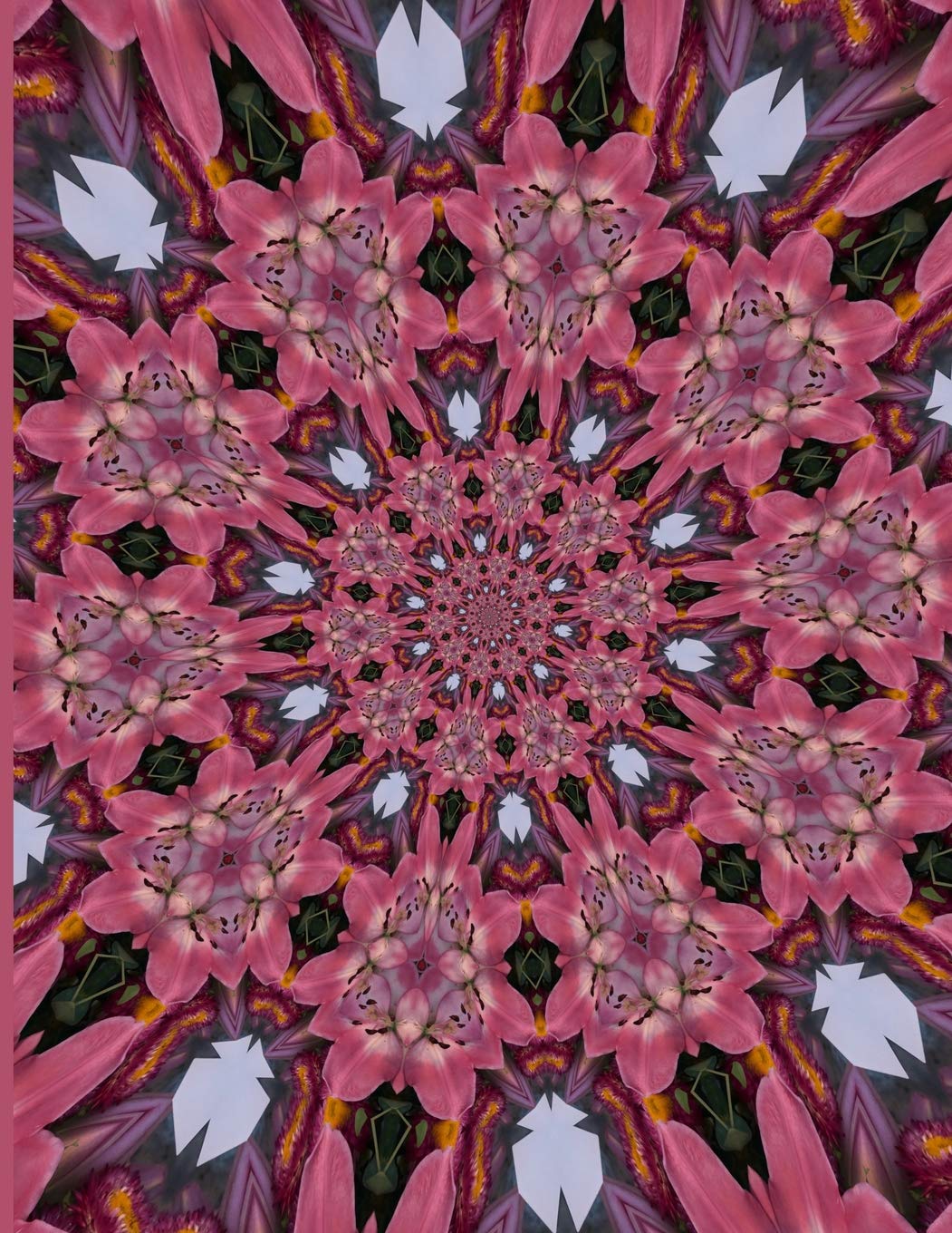 Fractal Photo Art Notebook: Pink Lily 3: A fractal image notebook made from a photo of a fresh cut pink lily flower, and filled with college ruled paper. Mathematics
