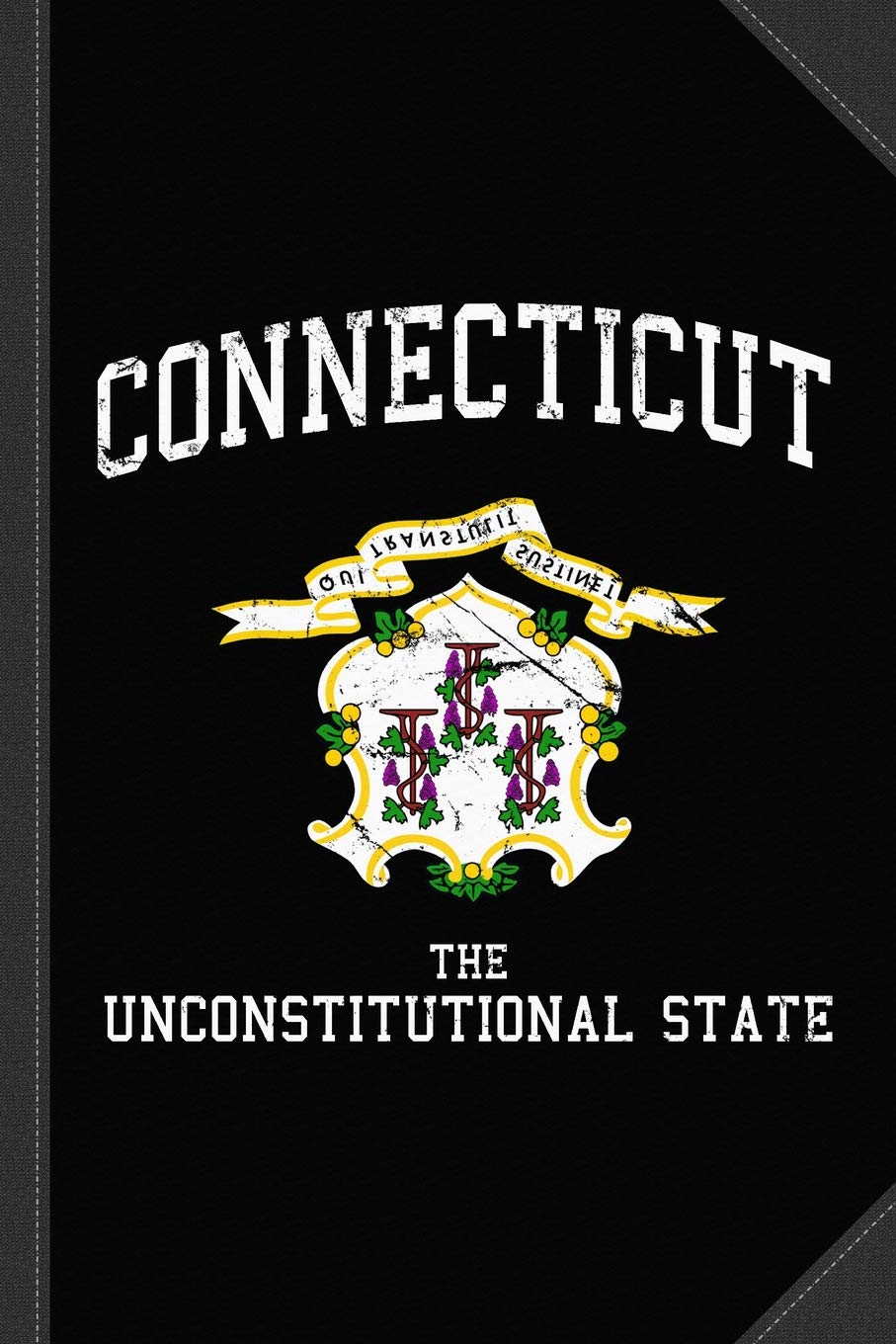 Connecticut The Unconstitutional State Journal Notebook: Blank Lined Ruled For Writing 6x9 120 Pages Essays & Short Stories