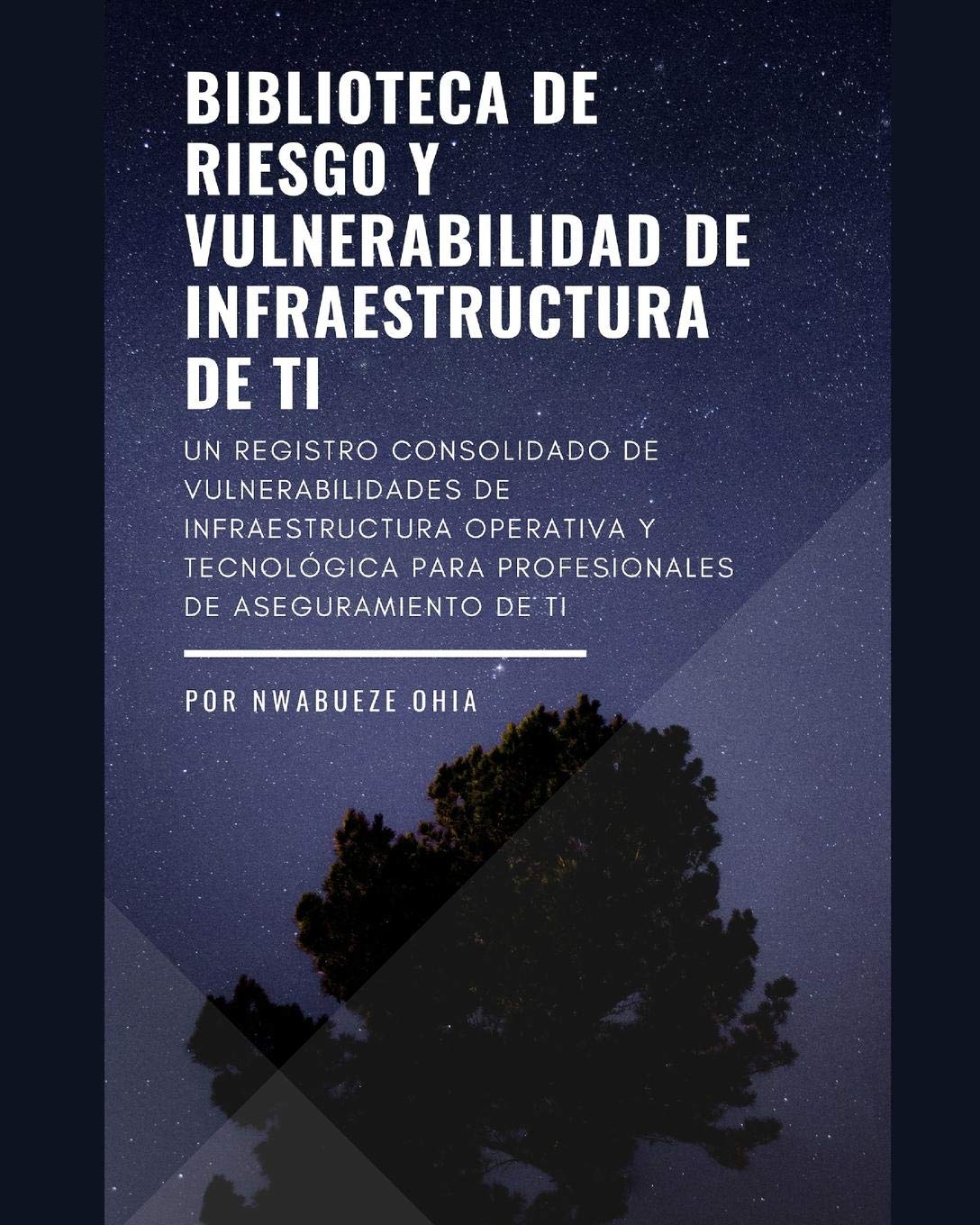 Biblioteca de riesgo y vulnerabilidad de infraestructura de TI: Un registro consolidado de vulnerabilidades de infraestructura operativa y tecnológica para profesionales de aseguramiento de TI Business, Finance & Career
