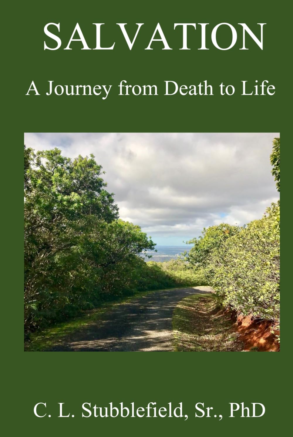 SALVATION: A Journey from Death to Life book