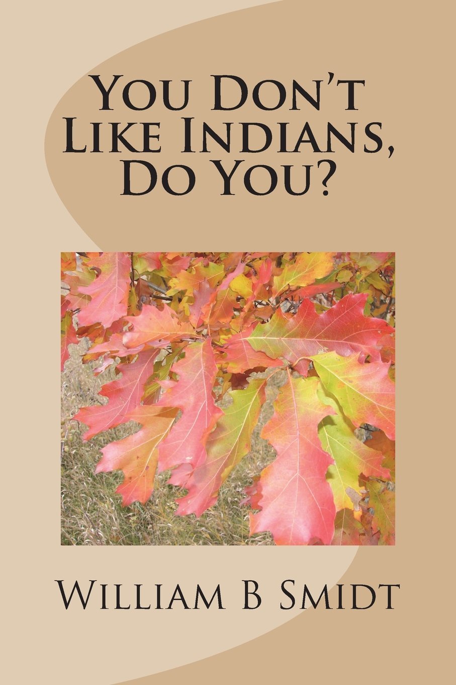 You Don't Like Indians, Do You? book
