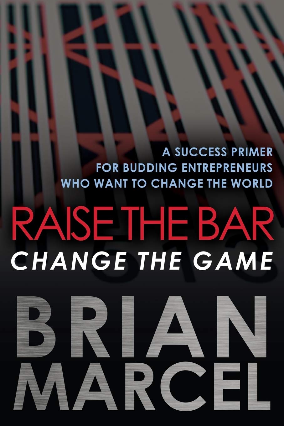 Raise the Bar, Change the Game: A Success Primer for Budding Entrepreneurs Who Want to Change the World book