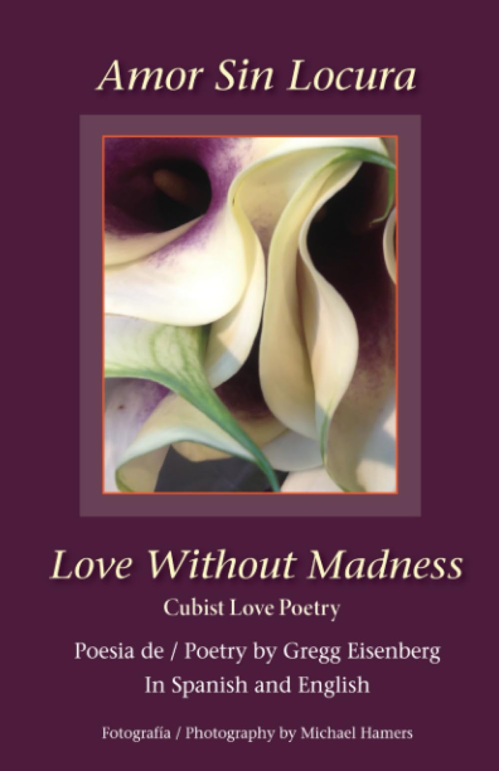 Amor Sin Locura Love Without Madness Poetry