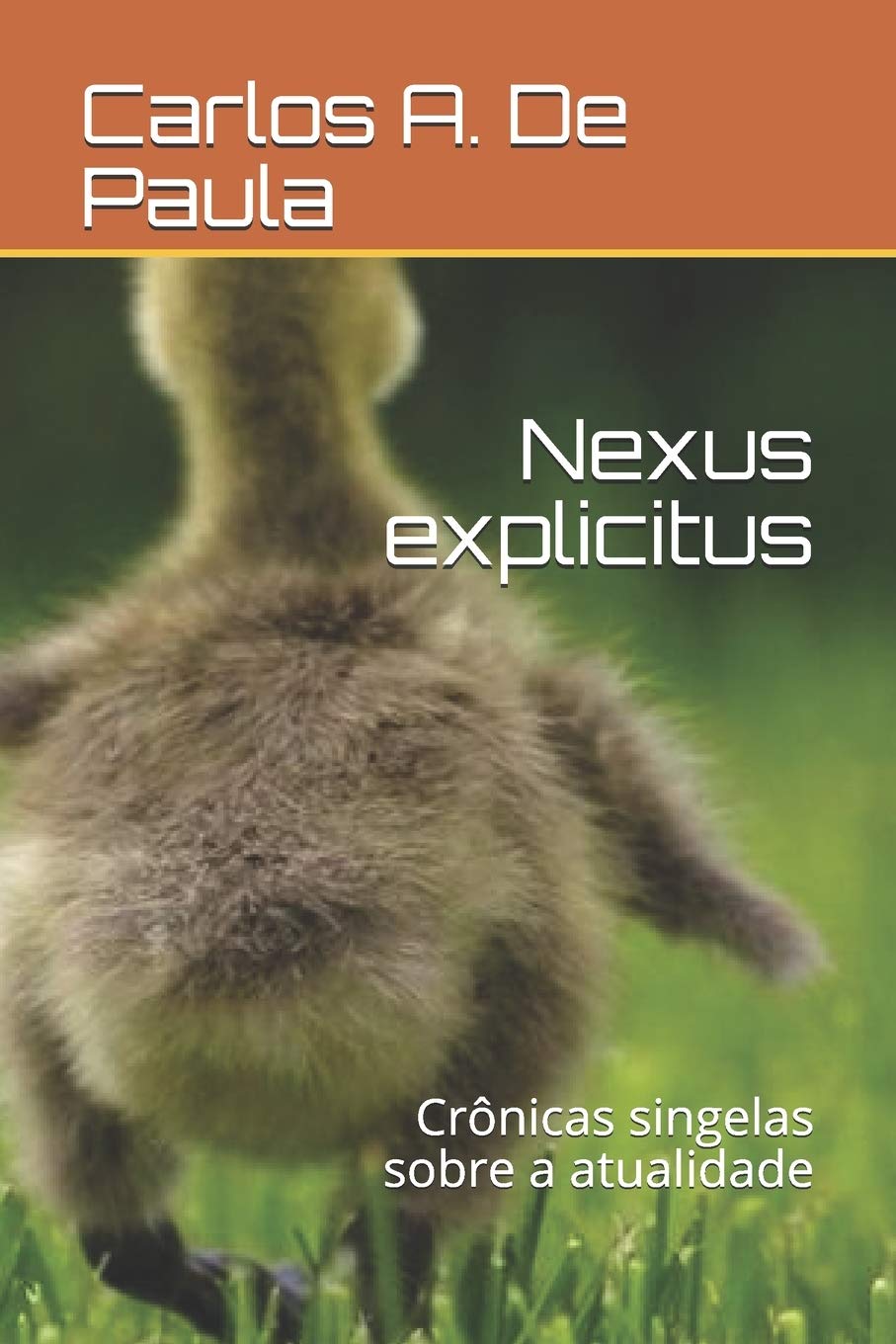 Nexus explicitus: Crônicas singelas sobre a atualidade book