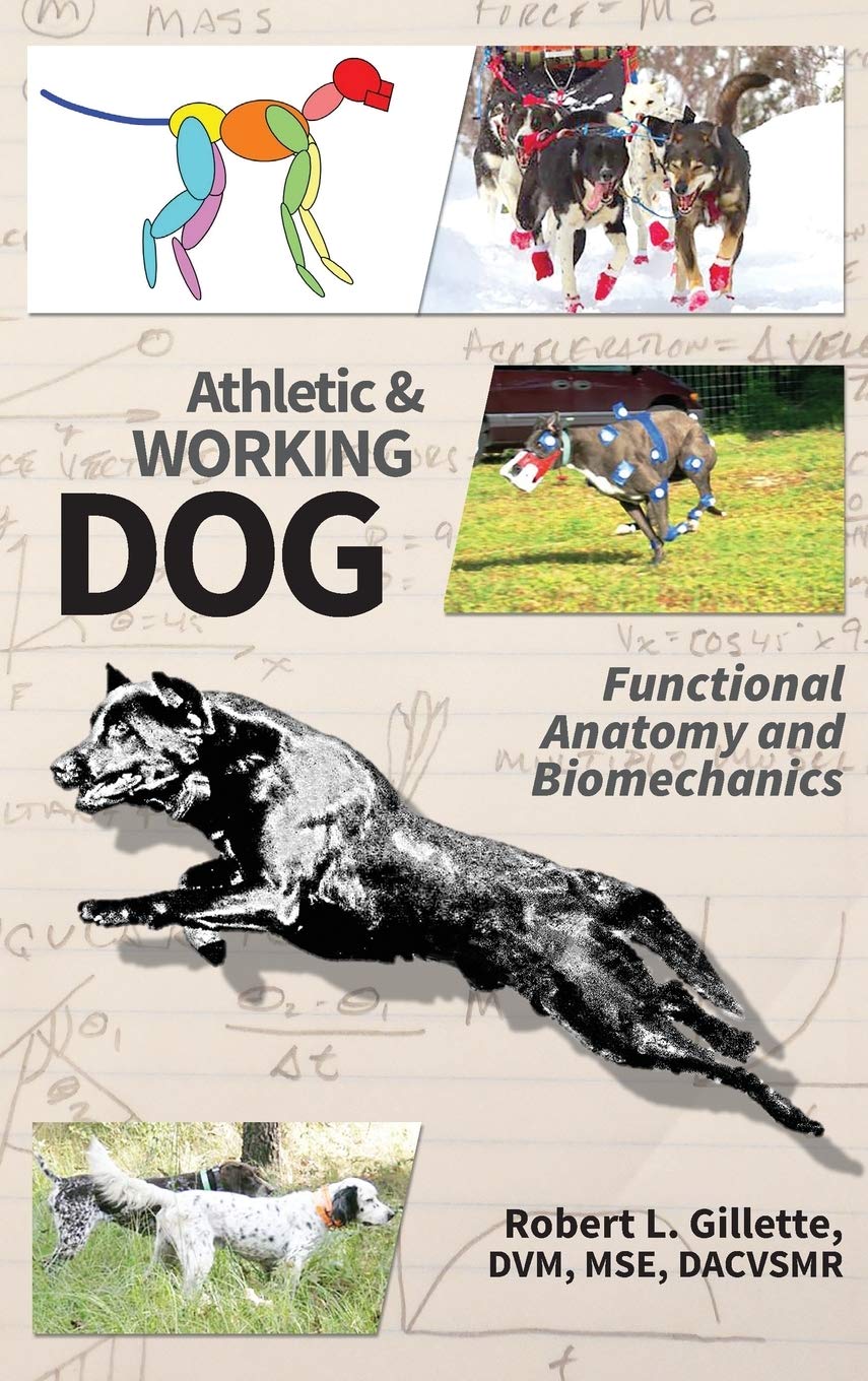 Athletic and Working Dog: Functional Anatomy and Biomechanics Pets