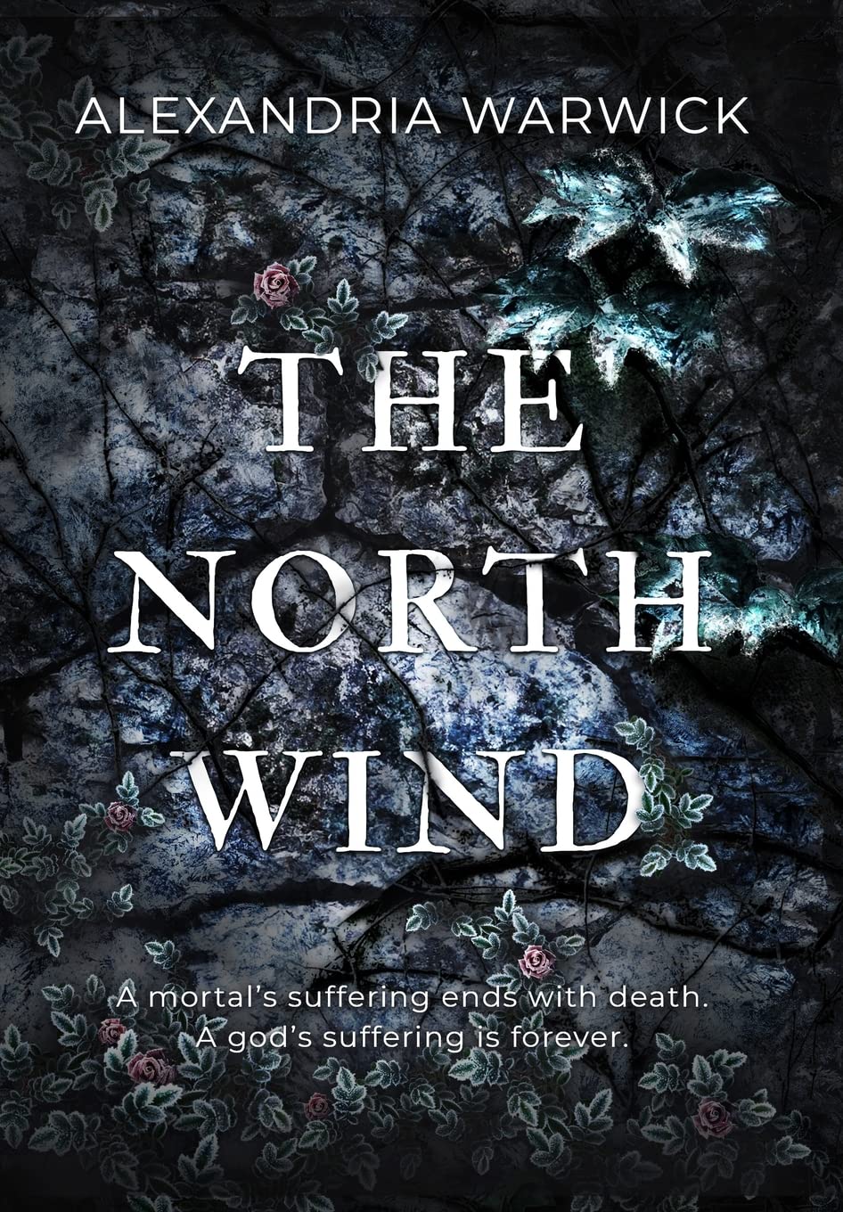 The North Wind (Four Winds, Band 1) Contemporary literature