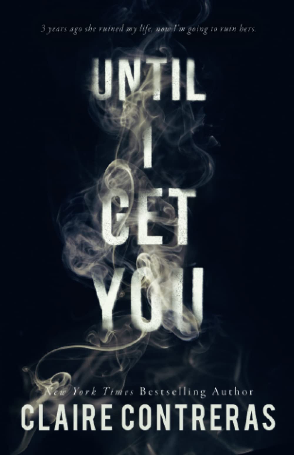 Until I Get You (Fairview Hockey, Band 1) Romantic Thrillers