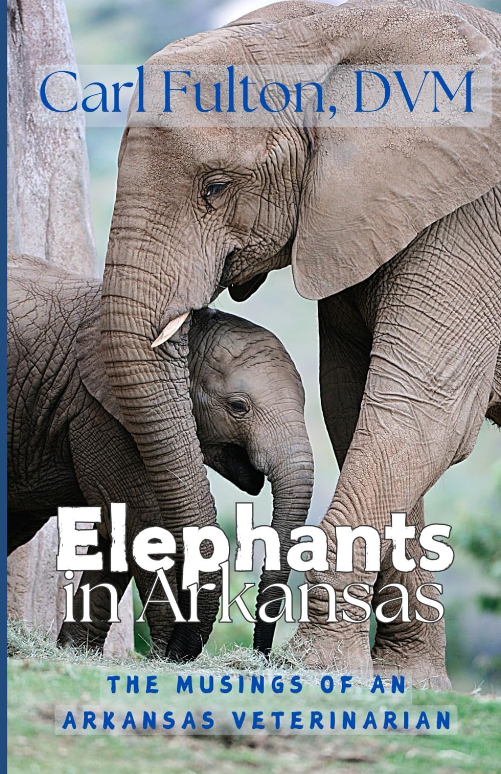 Elephants in Arkansas: The Musings of an Arkansas Veterinarian Medicine