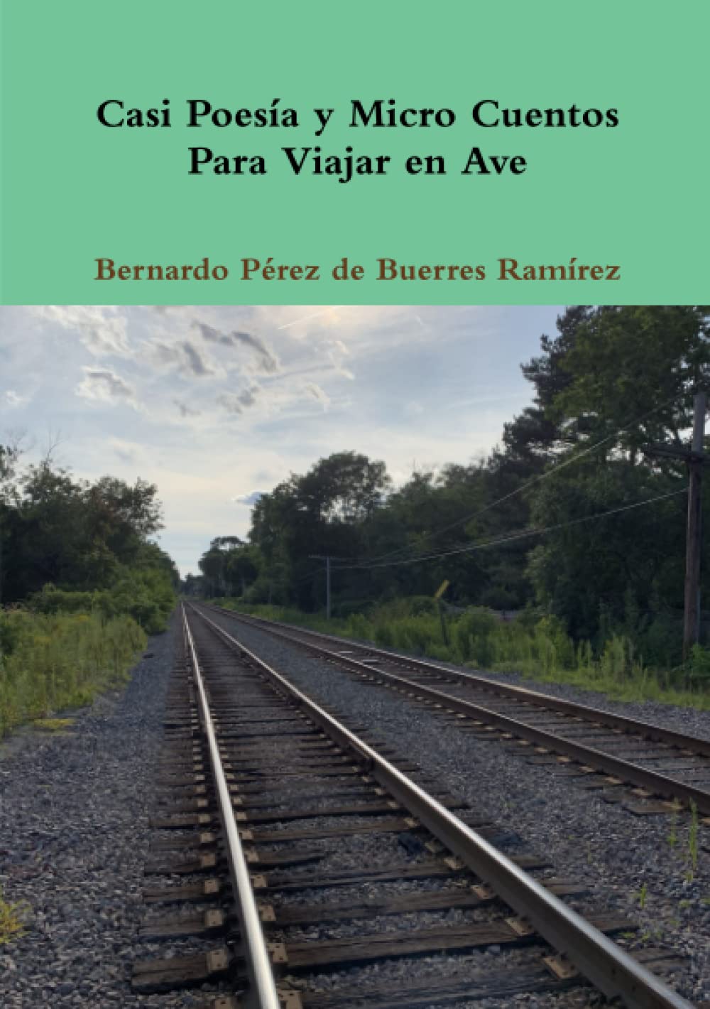 Casi Poesía y  Micro Cuentos Para Viajar en  Ave Contemporary literature