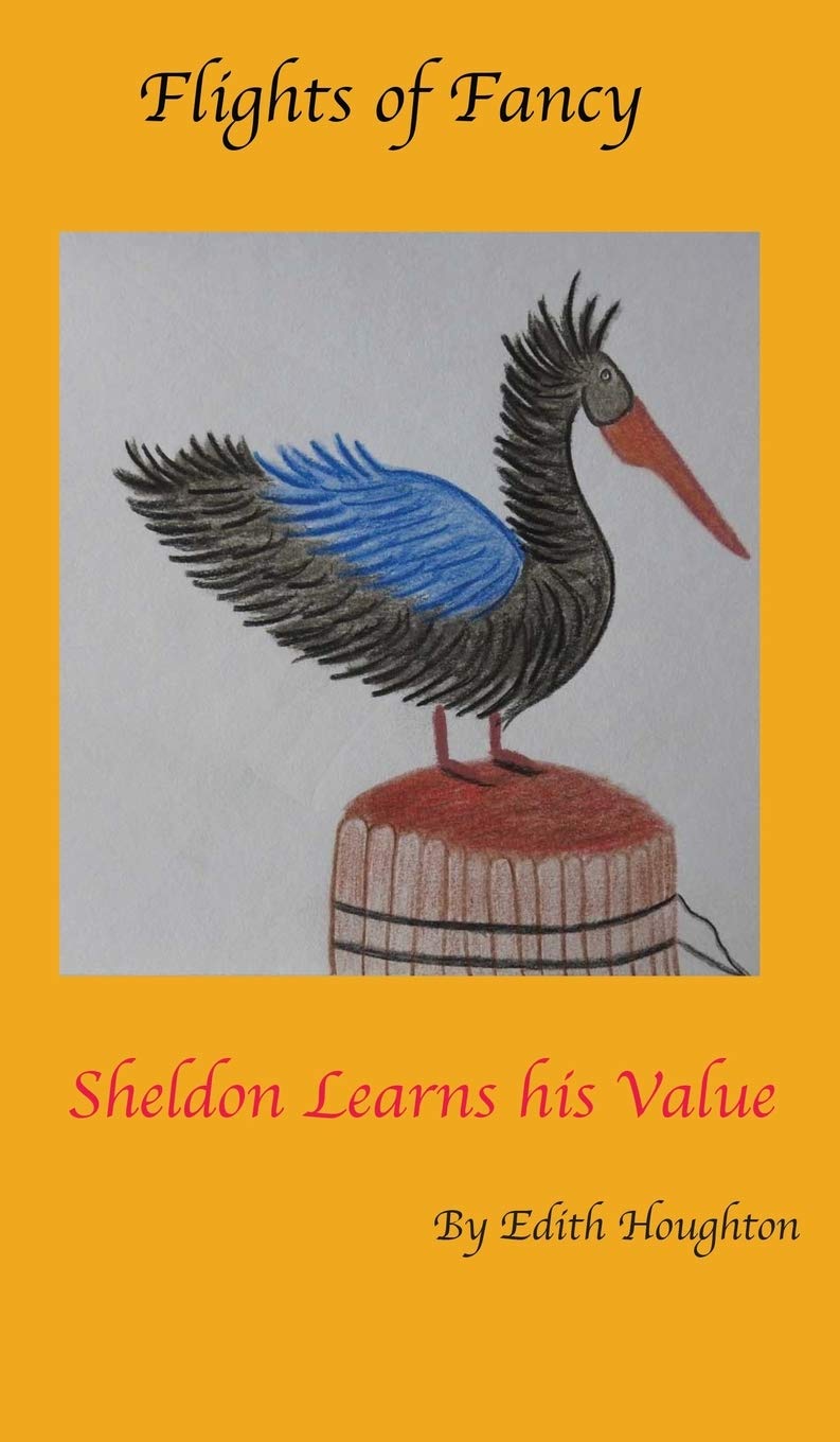Sheldon the Pelican Learns His Value (Flights of Fancy, Band 1) Philosophy