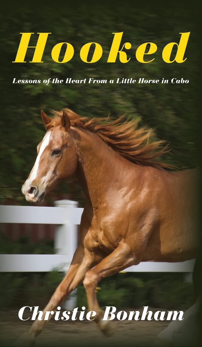 Hooked: Lessons of the Heart From a Little Horse in Cabo Art & Literature