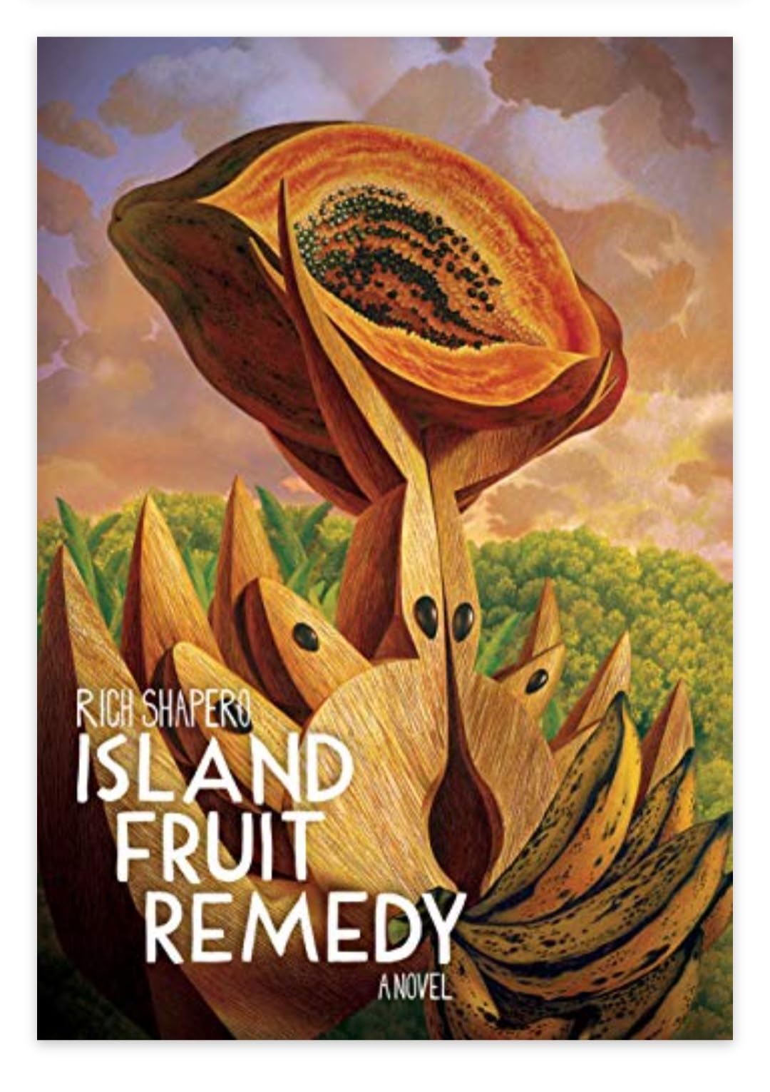 ISLAND FRUIT REMEDY A Novel Books