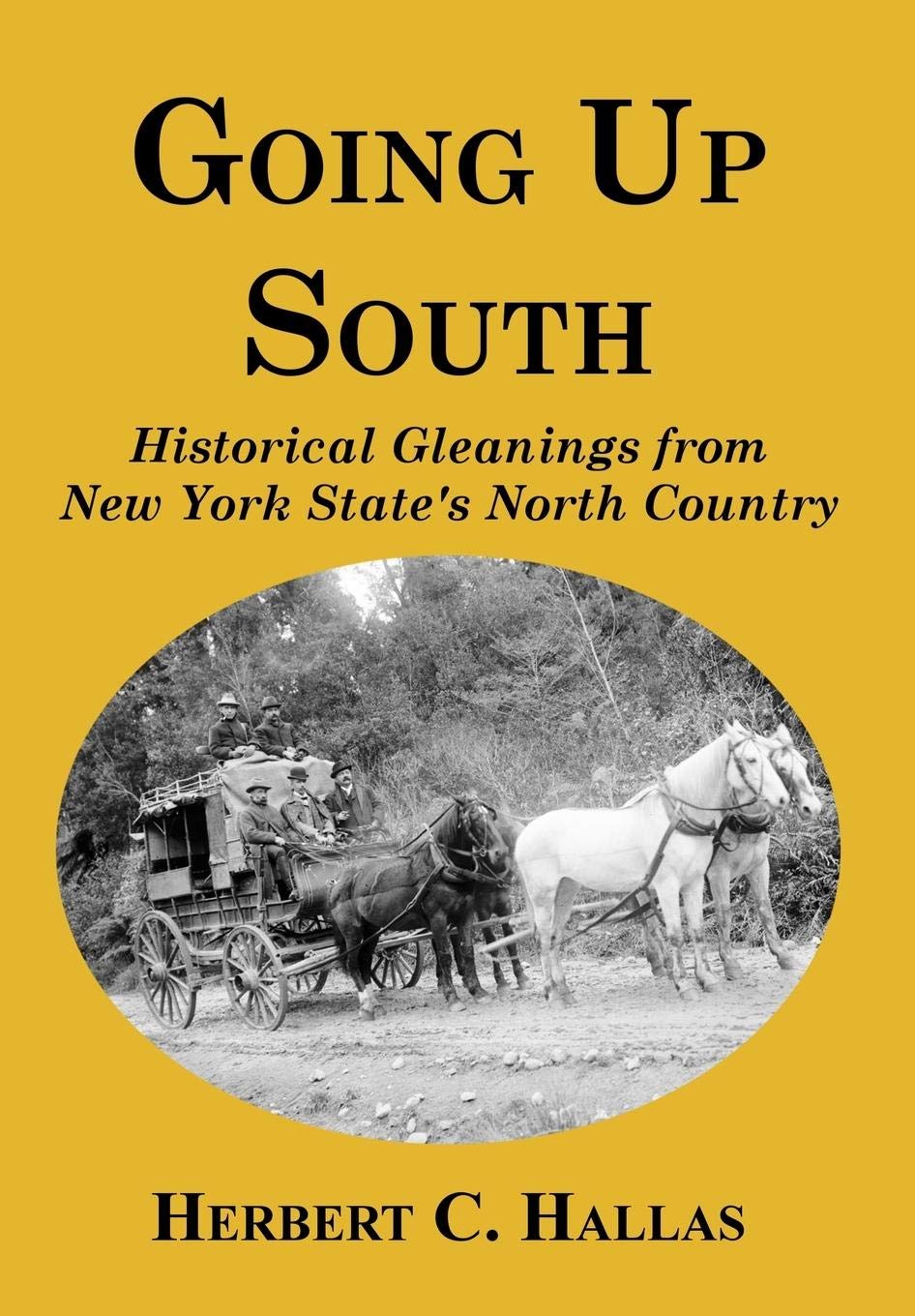 Going Up South: Historical Gleanings from New York State's North Country Books