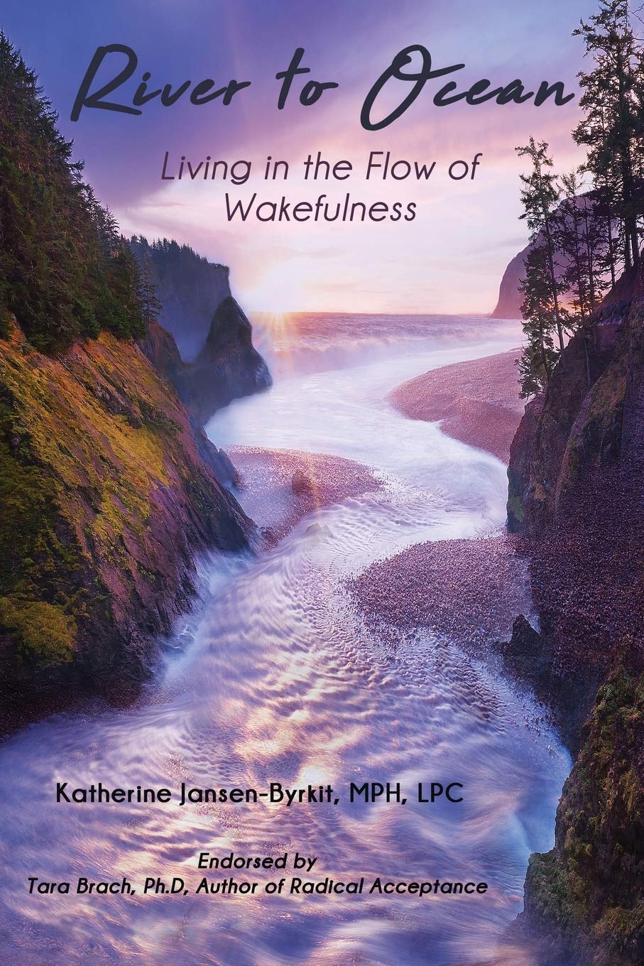 River to Ocean: Living in the Flow of Wakefulness book