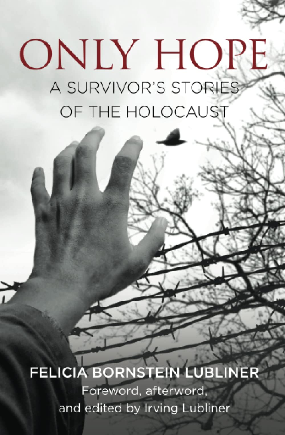 Only Hope: A Survivor's Stories of the Holocaust Memories