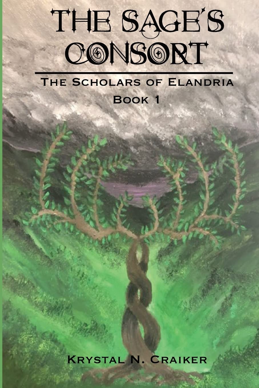 The Sage's Consort: Scholars of Elandria Book 1 (The Scholars of Elandria, Band 1) Contemporary literature Books