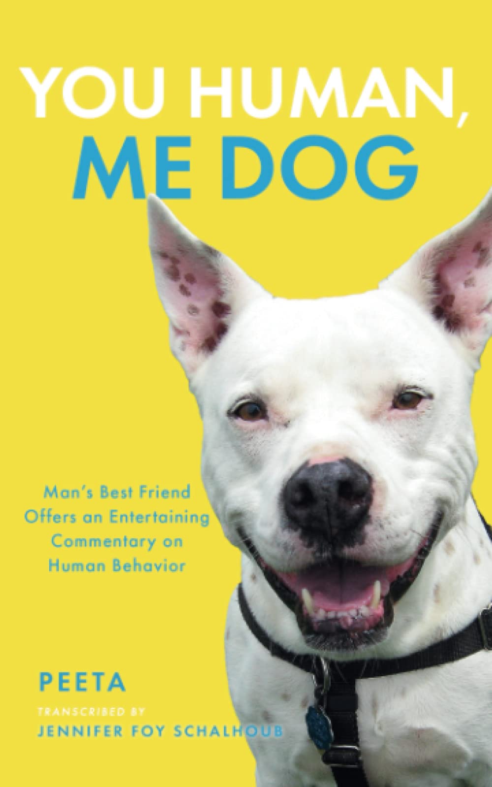 You Human, Me Dog: Man's Best Friend Offers an Entertaining Commentary on Human Behavior Books