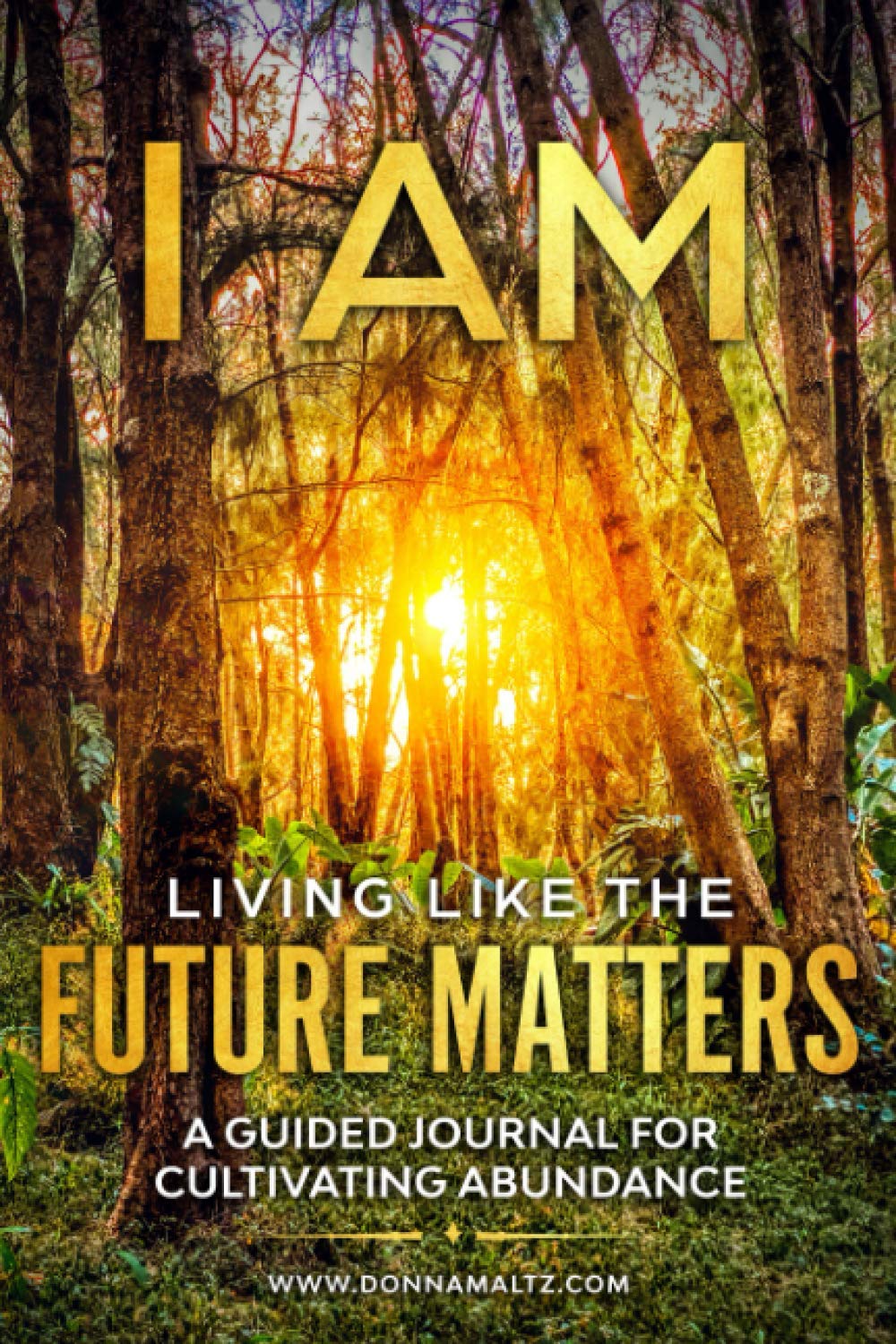 I AM Living Like the Future Matters: A Guided Journal for Cultivating Abundance Self-help