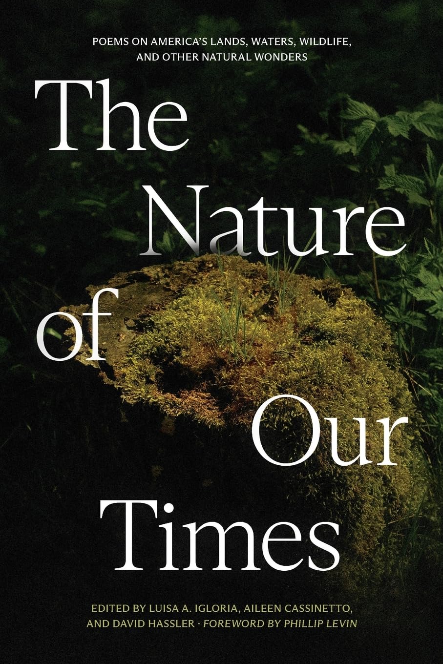 The Nature of Our Times Poetry