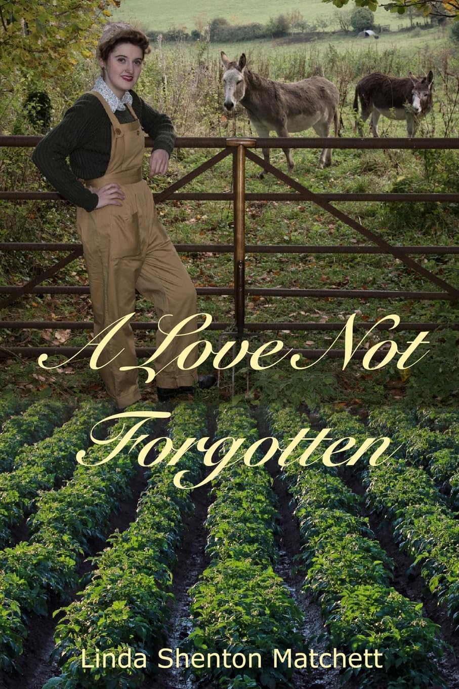 A Love Not Forgotten: A Second Chance Romance Action & Adventure