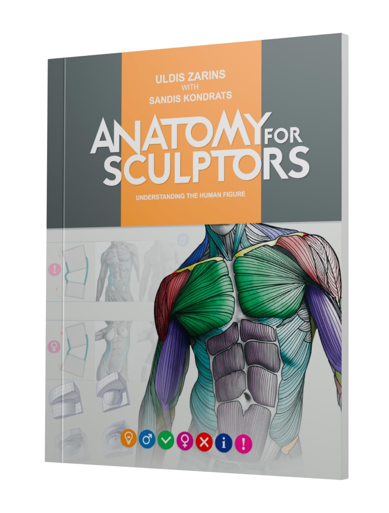 Anatomy For Sculptors, Understanding the Human Figure Books