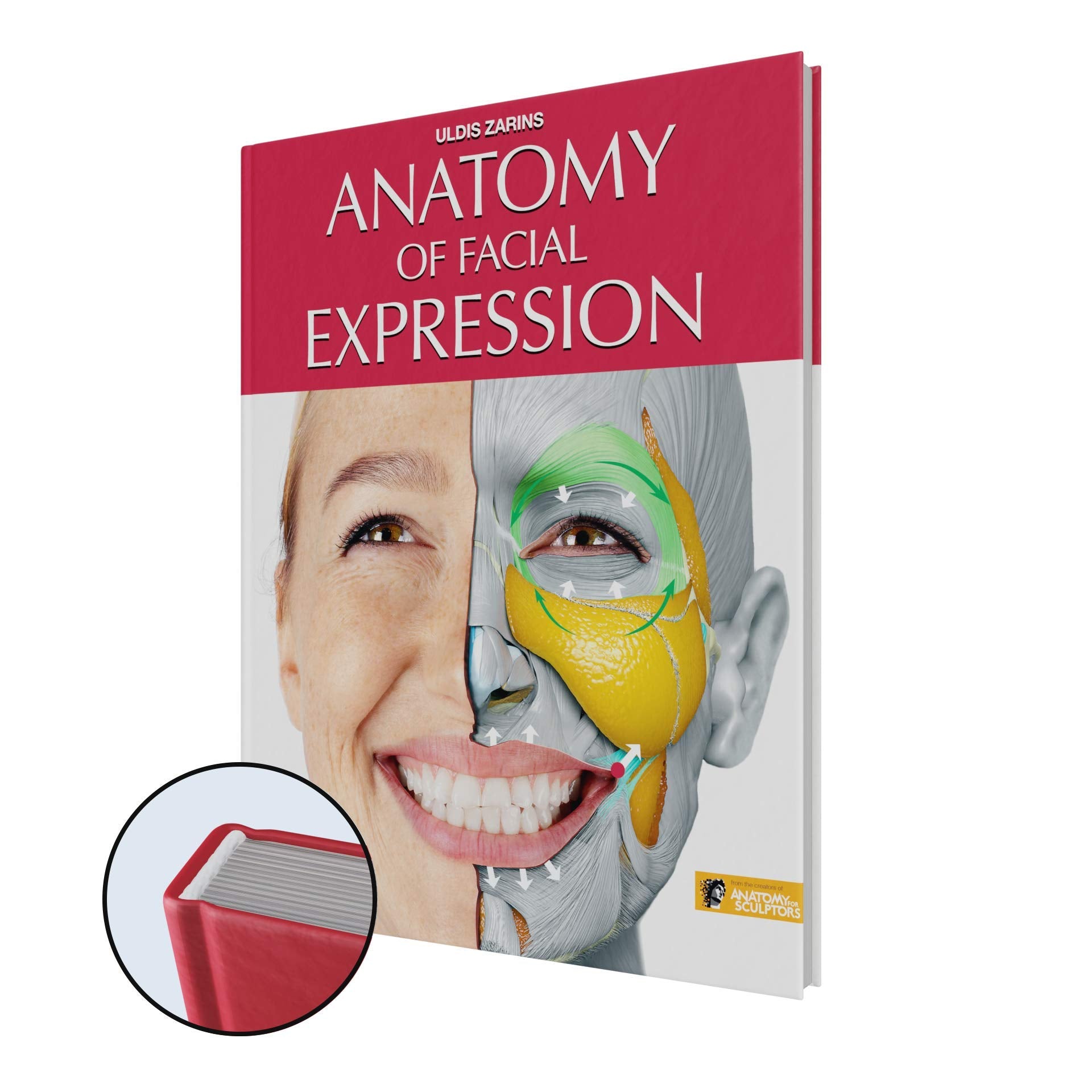 Anatomy of Facial Expressions Books