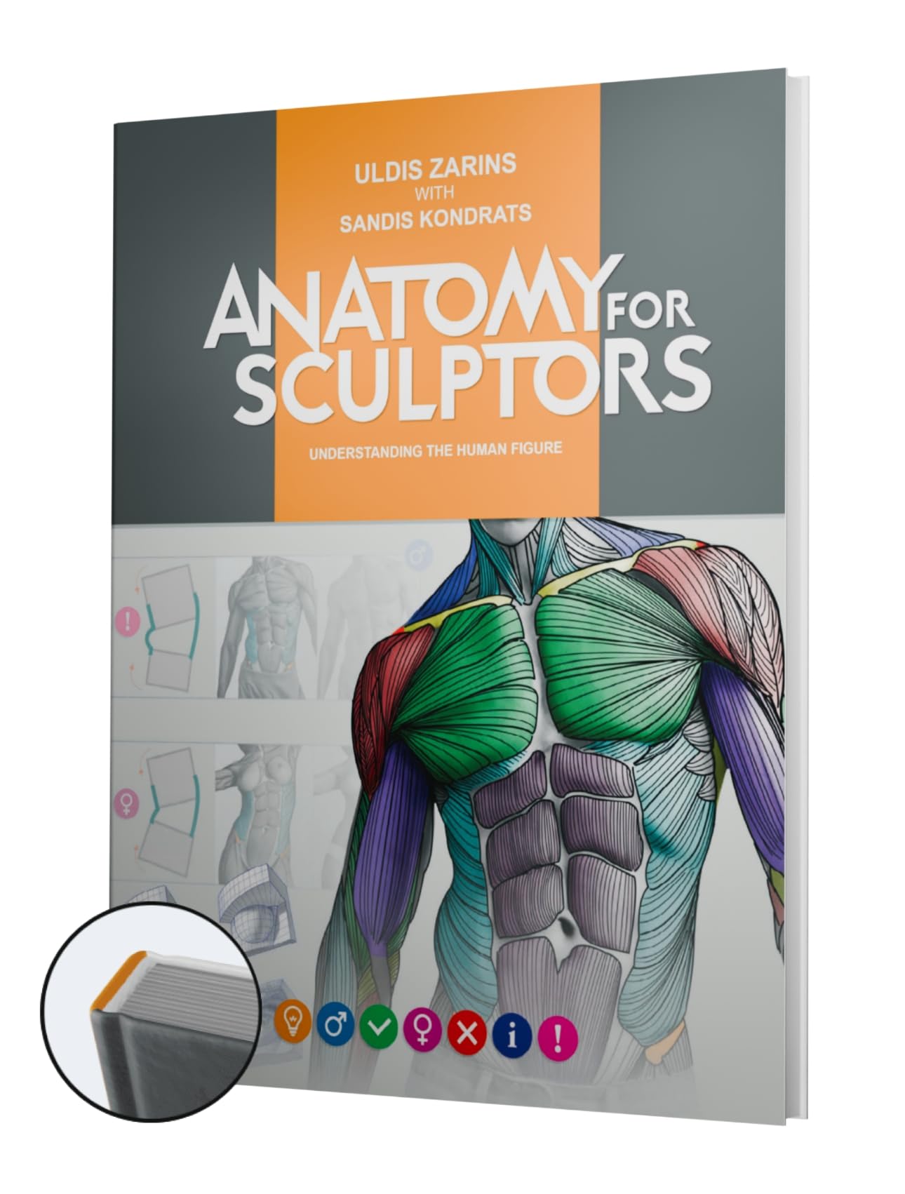Anatomy For Sculptors, Understanding the Human Figure Books