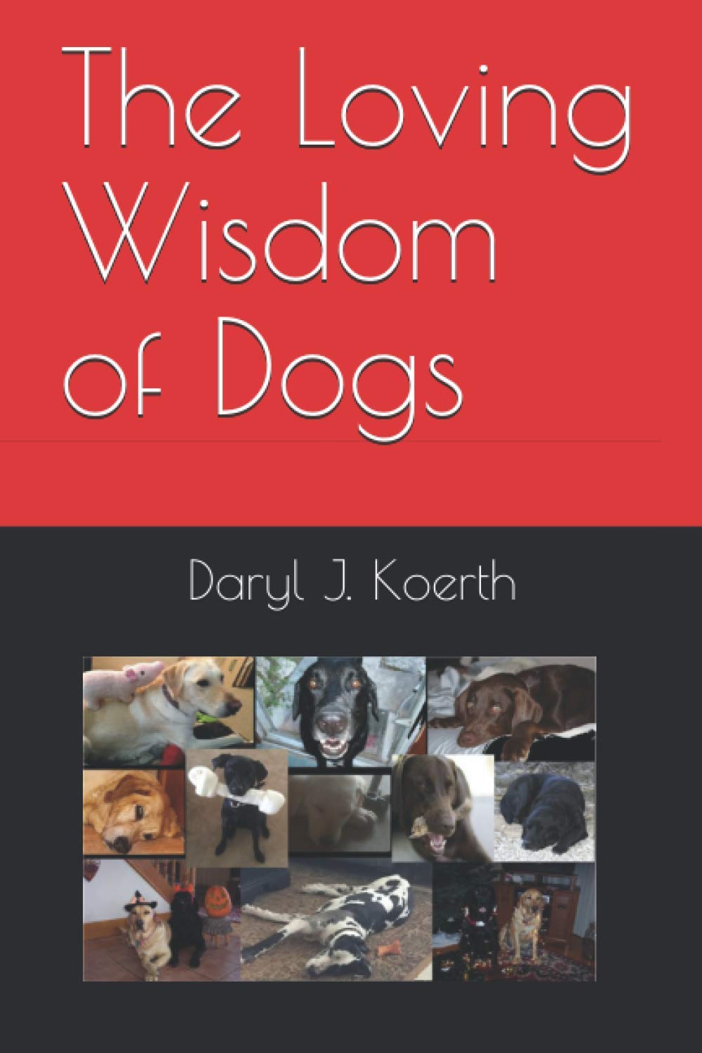 The Loving Wisdom of Dogs Philosophy