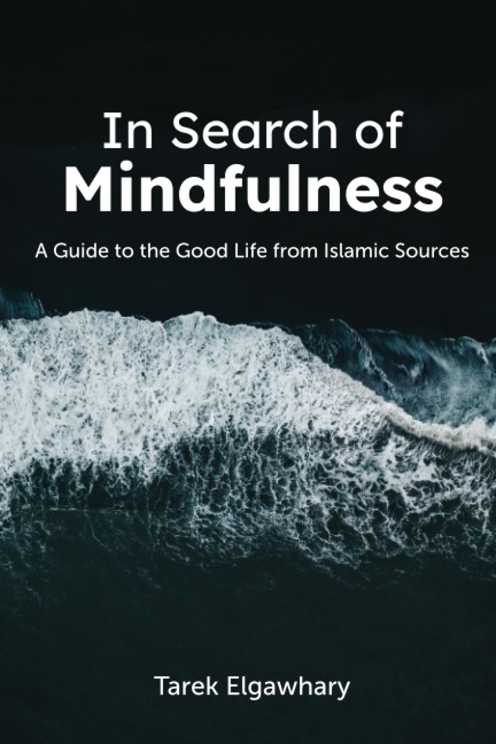 In Search of Mindfulness: A Guide to the Good Life from Islamic Sources Religion & Esotericism