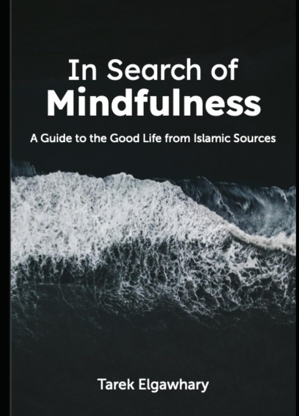 In Search of Mindfulness: A Guide to the Good Life from Islamic Sources Religion & Esotericism