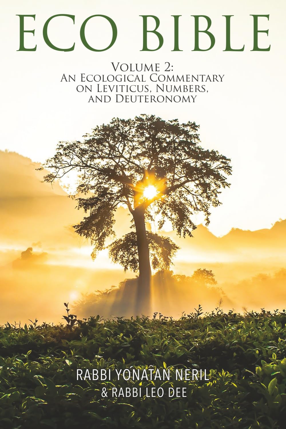 Eco Bible: Volume 2: An Ecological Commentary on Leviticus, Numbers, and Deuteronomy Mathematics