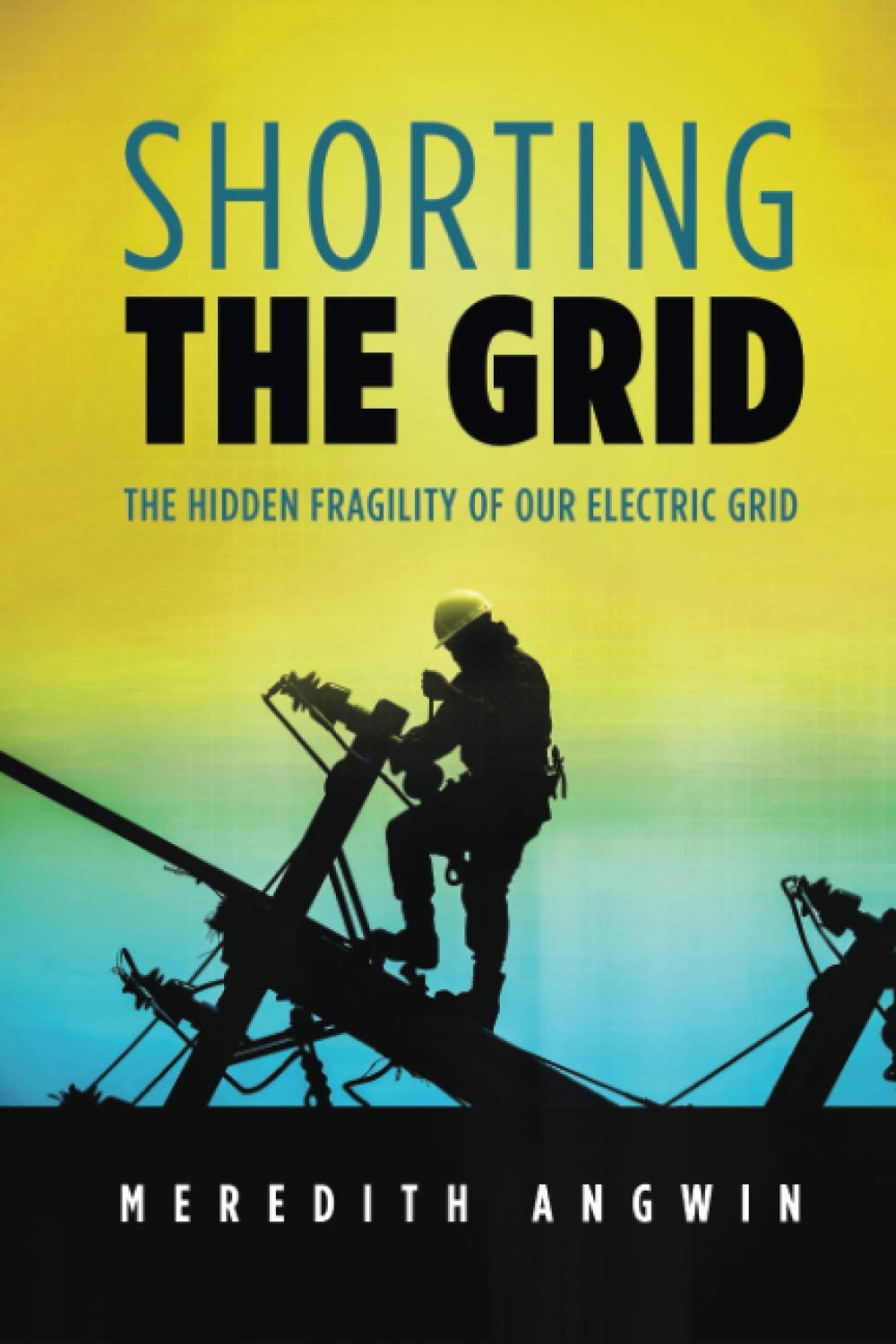 Shorting the Grid: The Hidden Fragility of Our Electric Grid Business, Finance & Career