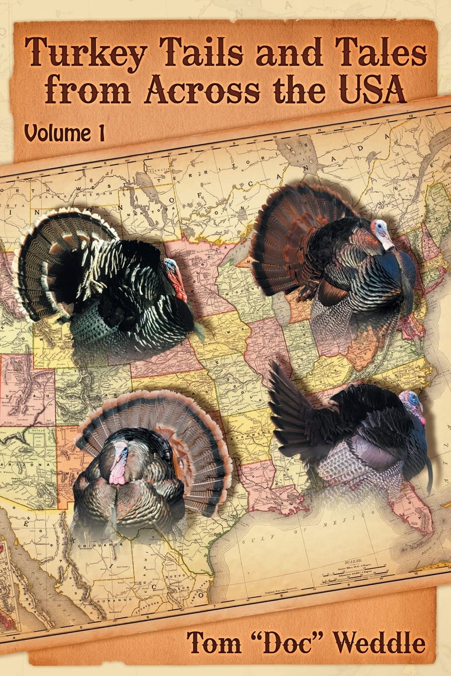 Turkey Tails and Tales from Across the USA: Volume 1 Mathematics