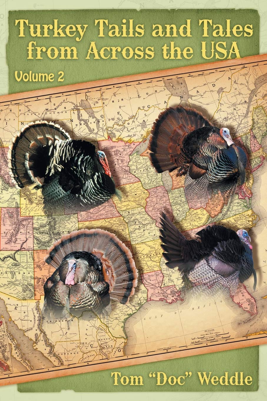 Turkey Tails and Tales from Across the USA: Volume 2 Mathematics