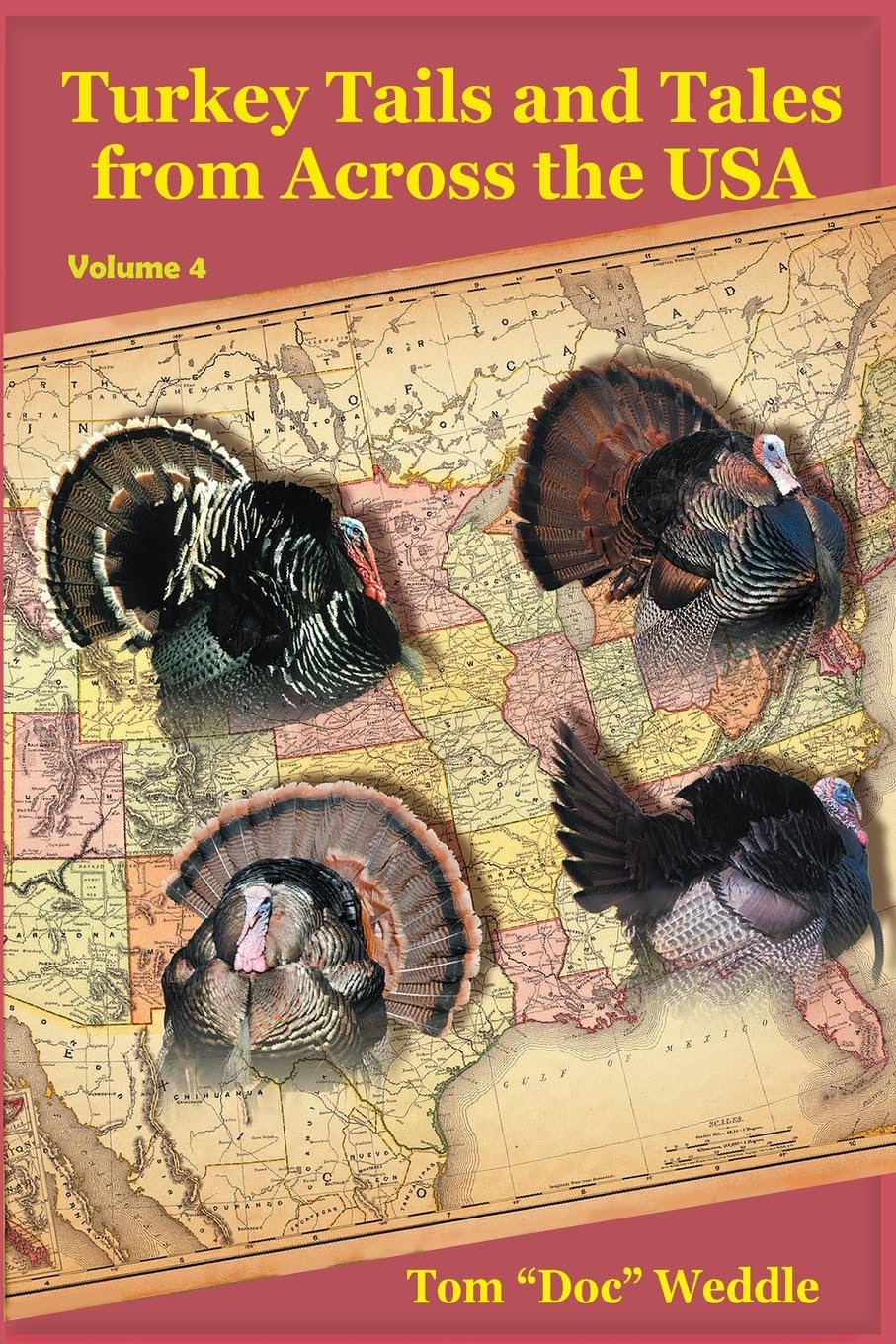 Turkey Tails and Tales from Across the USA - Volume 4 Mathematics