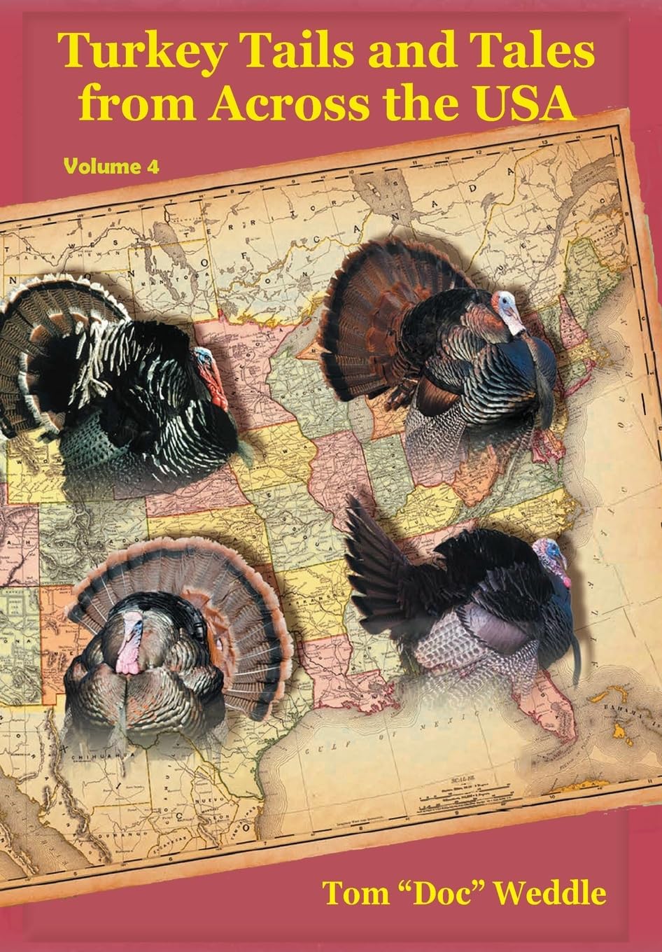 Turkey Tails and Tales from Across the USA - Volume 4 Mathematics