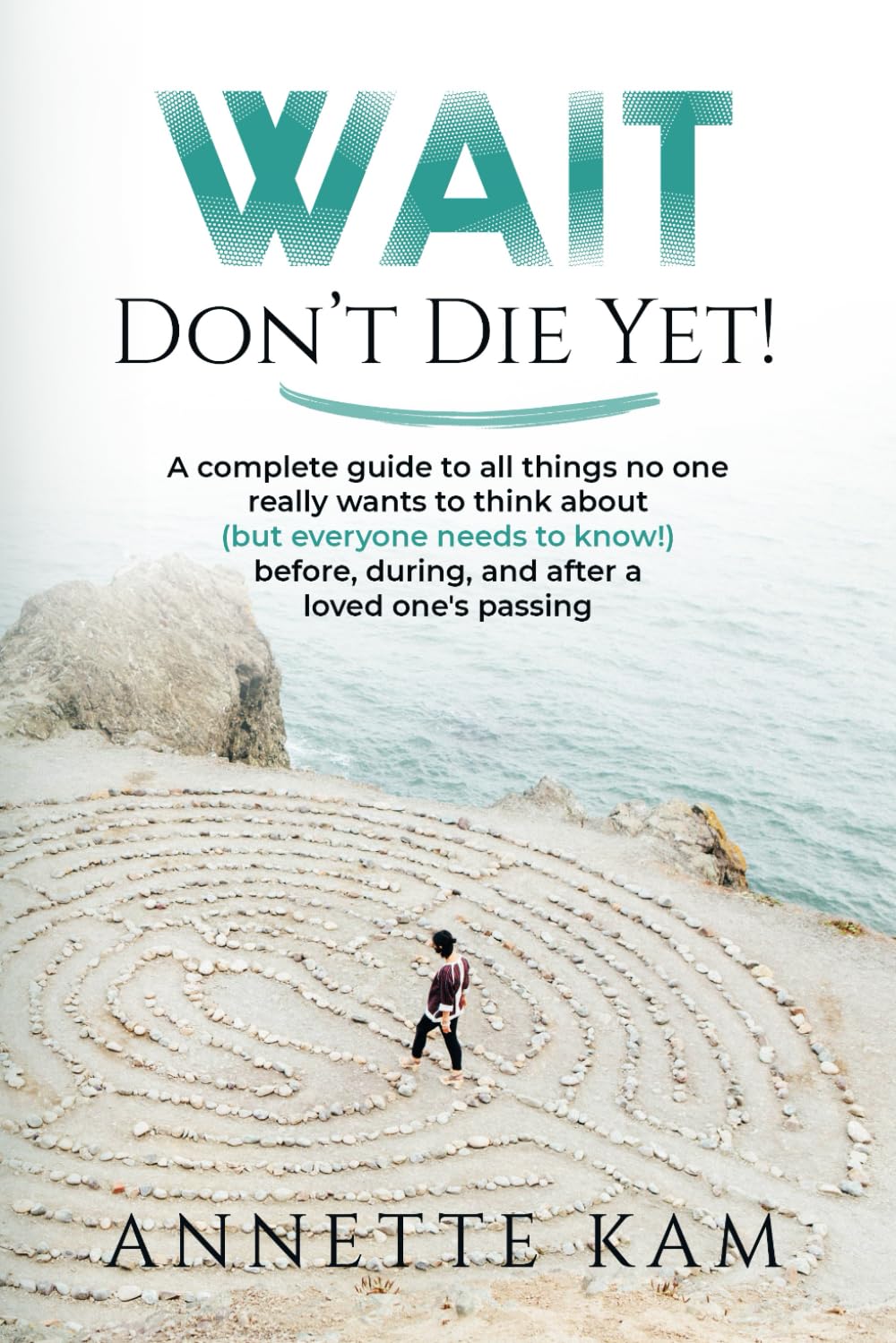 Wait - Don't Die Yet!: A complete guide to all things no one really wants to think about (but everyone needs to know) before, during, and after a loved one's passing Social Sciences