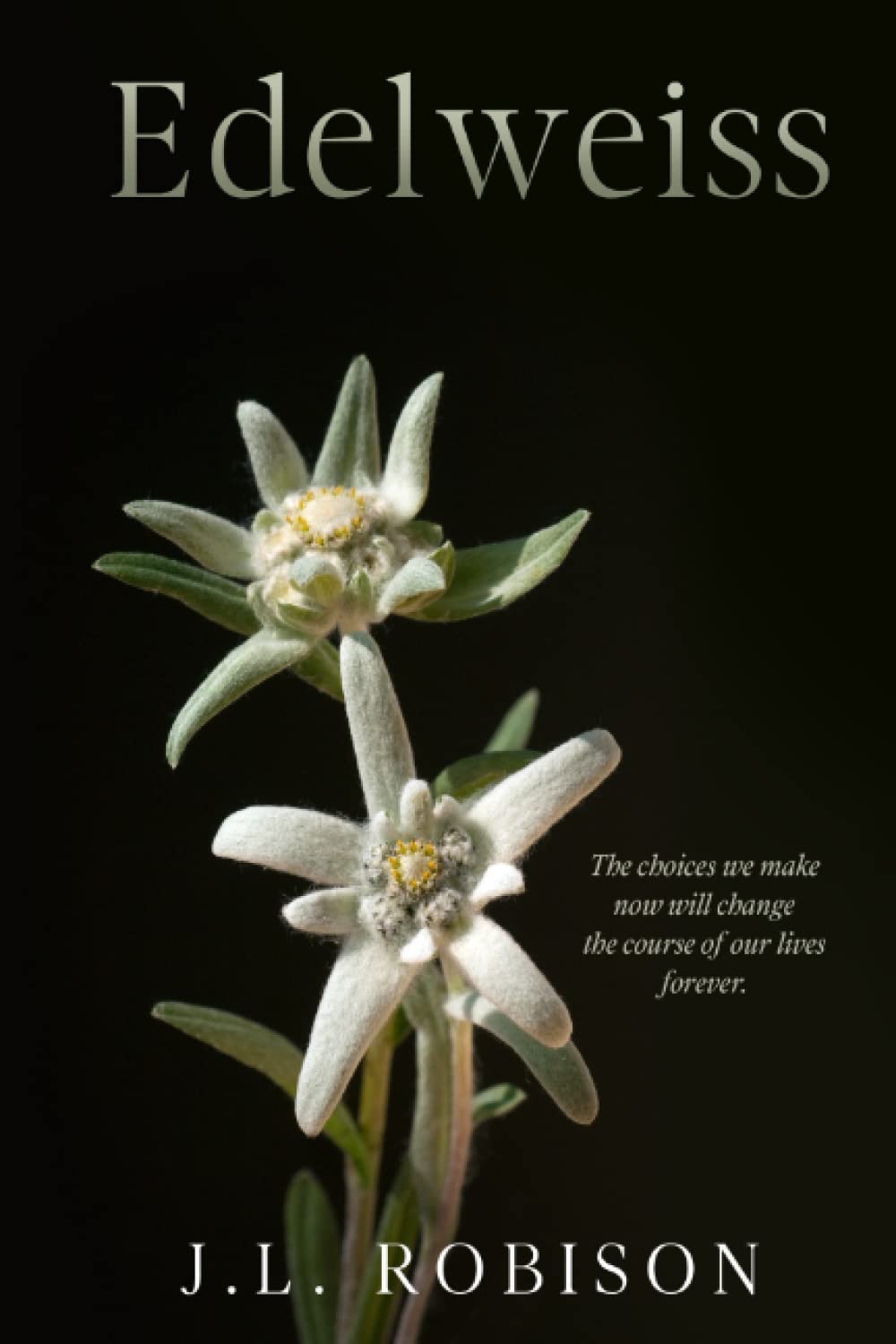 Edelweiss: The choices we make now will change the course of our lives forever. book